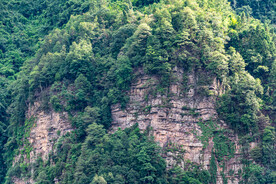 白岩