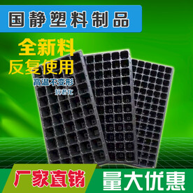 育苗穴盘