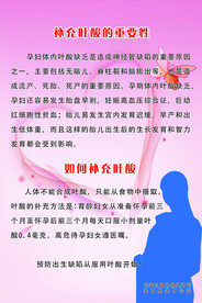 叶酸的重要性