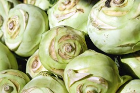 大头菜