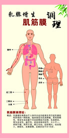 乳腺增生肌筋膜
