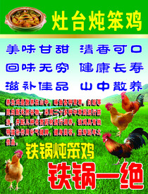 灶台炖笨鸡