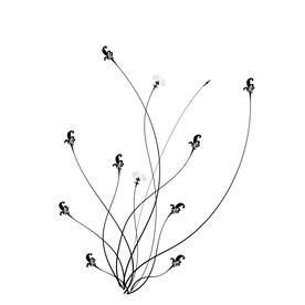 典雅的卷曲和花形画笔组