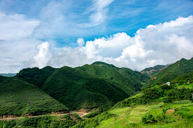青山