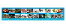 海鲜店灯箱