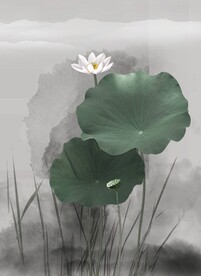 水墨荷花