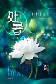 清凉夏日荷花处暑节气处暑海报