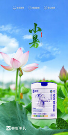 荷花 ps源文件海报