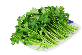 新鲜香菜免扣