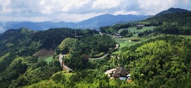 野山