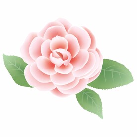 粉花