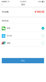 支付页面