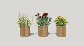 木花箱