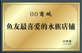 金色先进单位荣誉奖牌铜牌牌匾