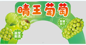 晴王葡萄