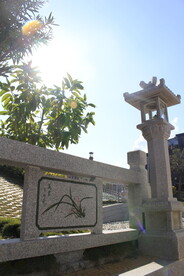 石栏杆
