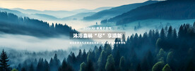 森林 新鲜空气 banner图