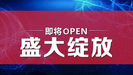 盛大绽放
