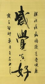 感觉真好 杨克东书法 鸿鹄