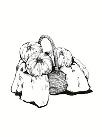 洋葱手绘线稿