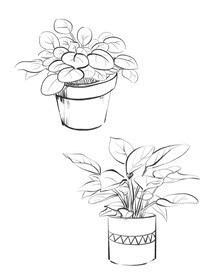 盆栽植物手绘