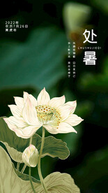 24节气 处暑