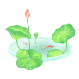 莲花 游鱼