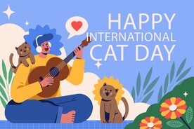 猫和弹吉他的男孩插画