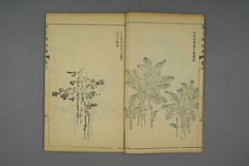 芥子园 画传 蕉叶