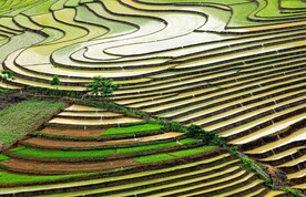 梯田风景