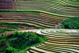 梯田风景