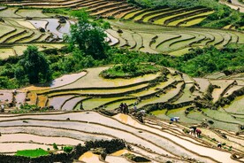 梯田风景