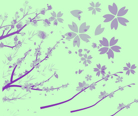 樱花  樱花树枝