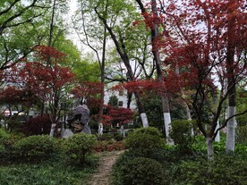 公园小路
