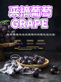 采摘葡萄