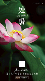 处暑海报 