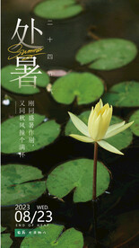 处暑海报 