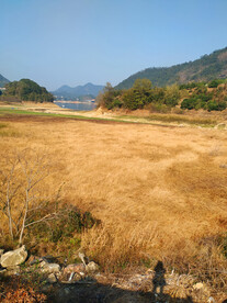 草泽地和湖