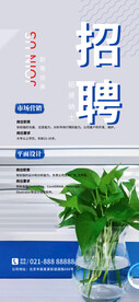 盆栽摄影招聘广告  