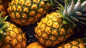 菠萝