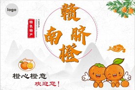 特产脐橙海报
