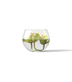 白底花盆 