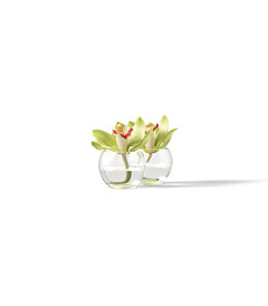 白底花盆