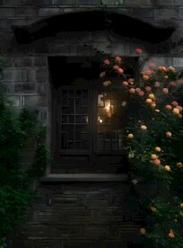 花园中的玫瑰