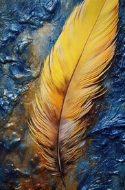 羽毛装饰画 