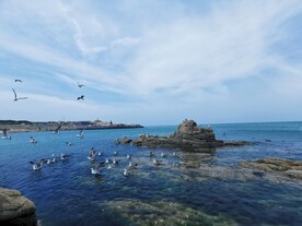 大海
