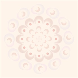 唯美花纹
