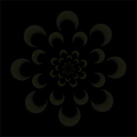 唯美花纹