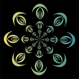 对称花纹