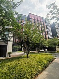 城市绿化 